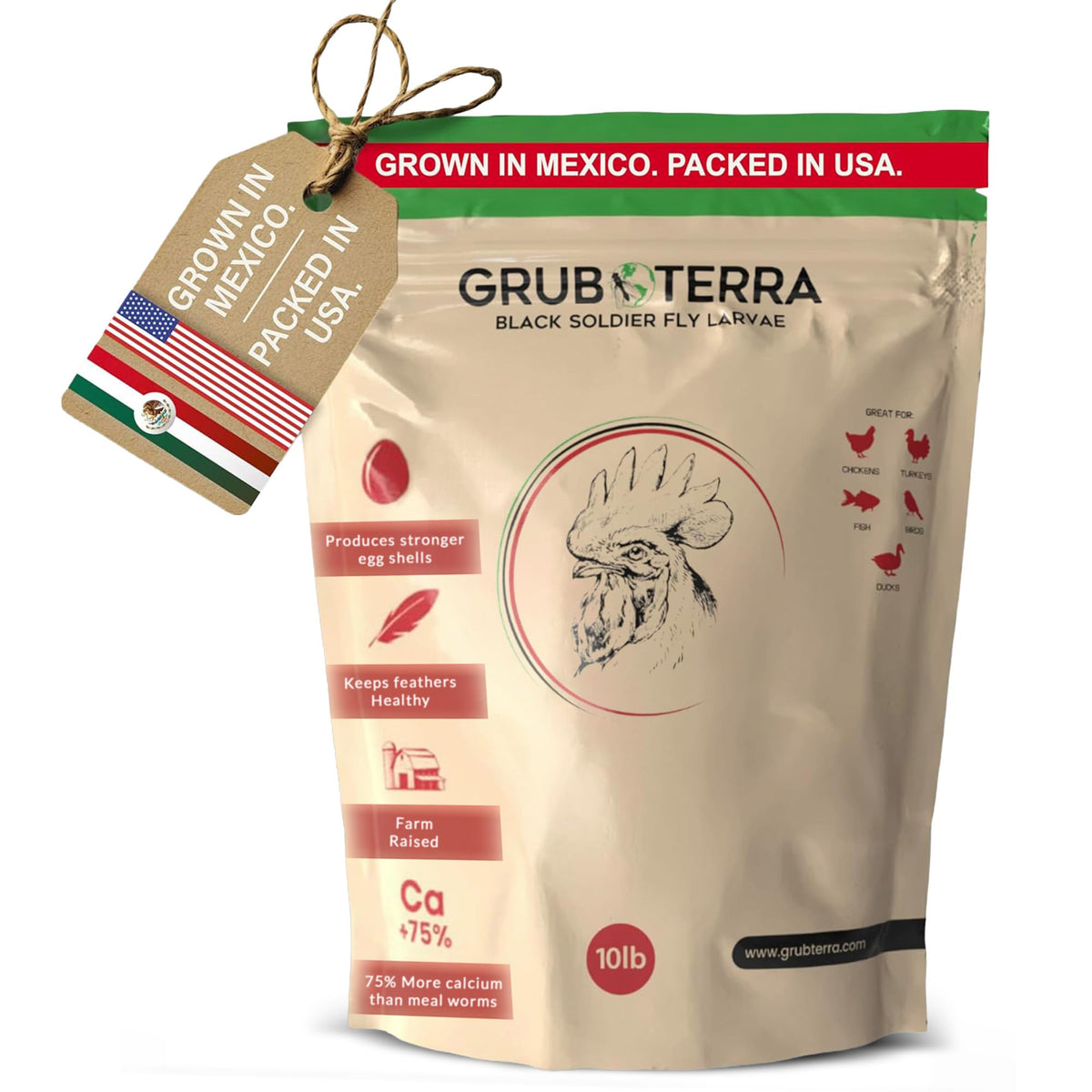 GrubTerra BSFL, larves sèches pour poulets, friandise protéinée et équilibrante.