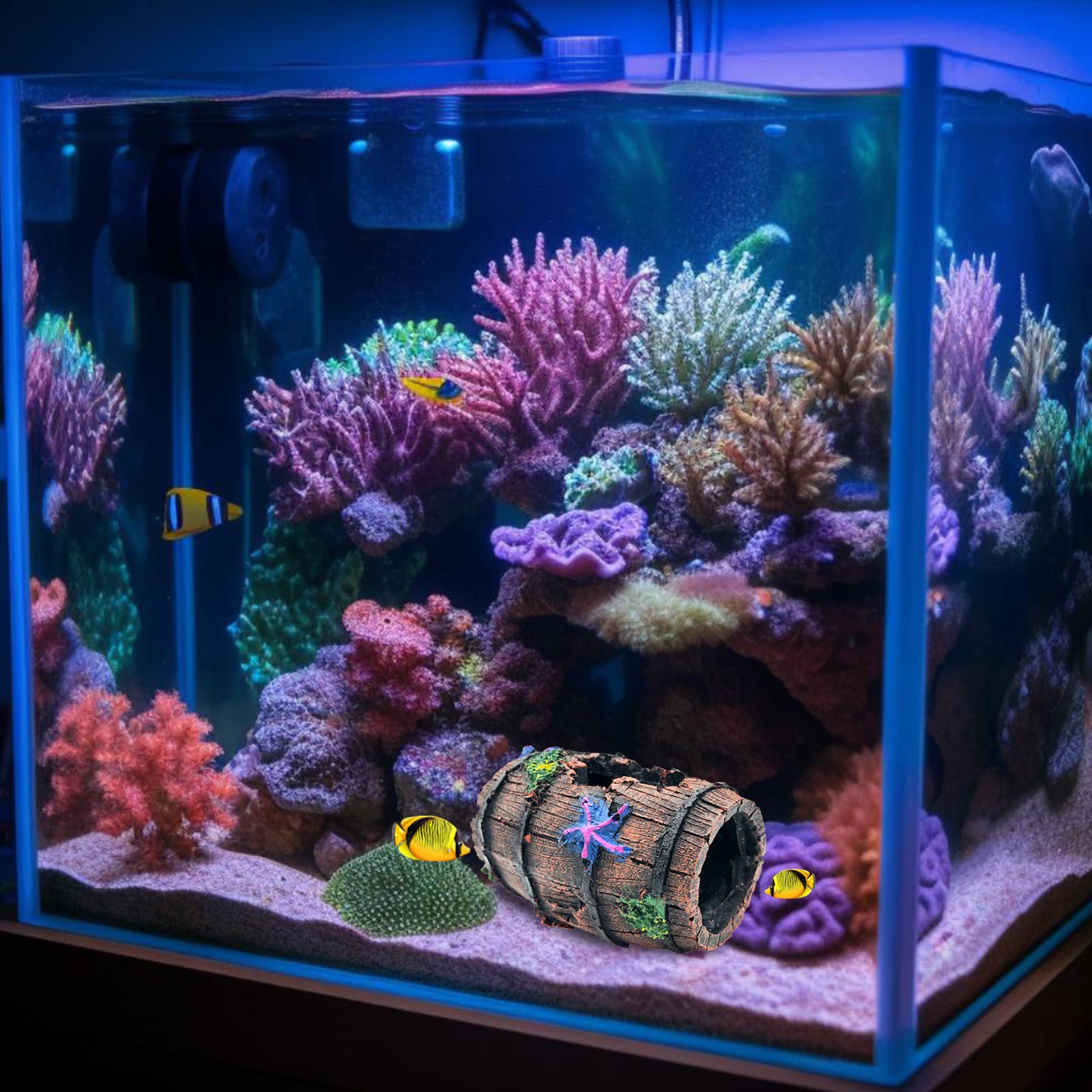 Accessoire GSD pour Betta, facile à placer et à nettoyer.