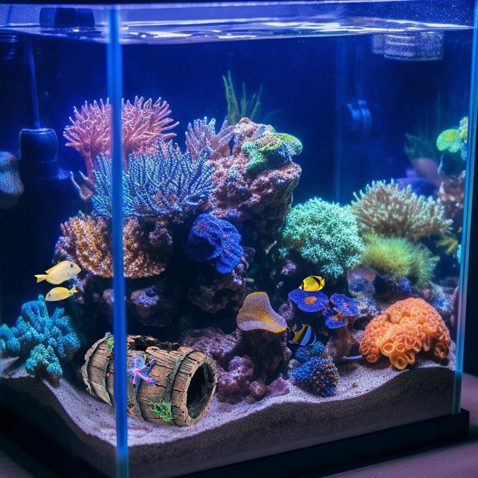 Décor aquatique GSD, baril cassé et étoiles bleues s'harmonisent avec plantes.