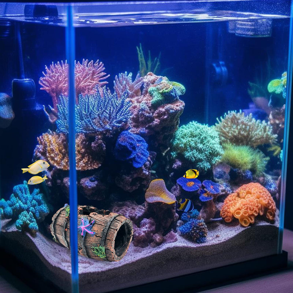 Décor aquatique GSD, baril cassé et étoiles bleues s'harmonisent avec plantes.
