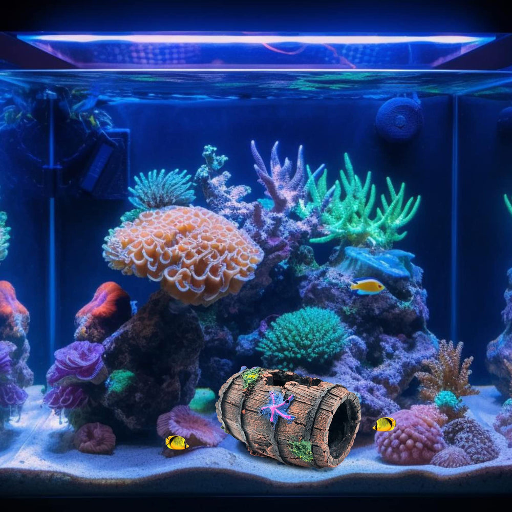 Ensemble décoratif GSD baril et étoiles, paysage sous-marin équilibré.