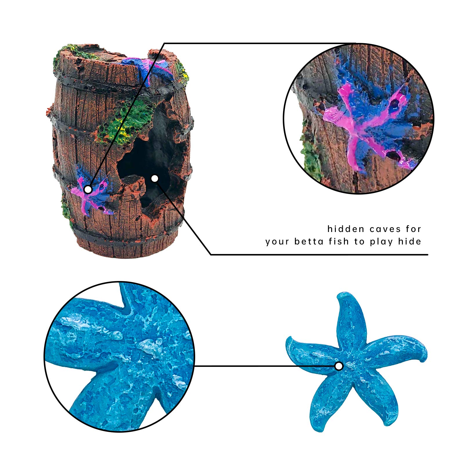 Étoile de mer bleue GSD, apporte couleur et refuges pour Betta.