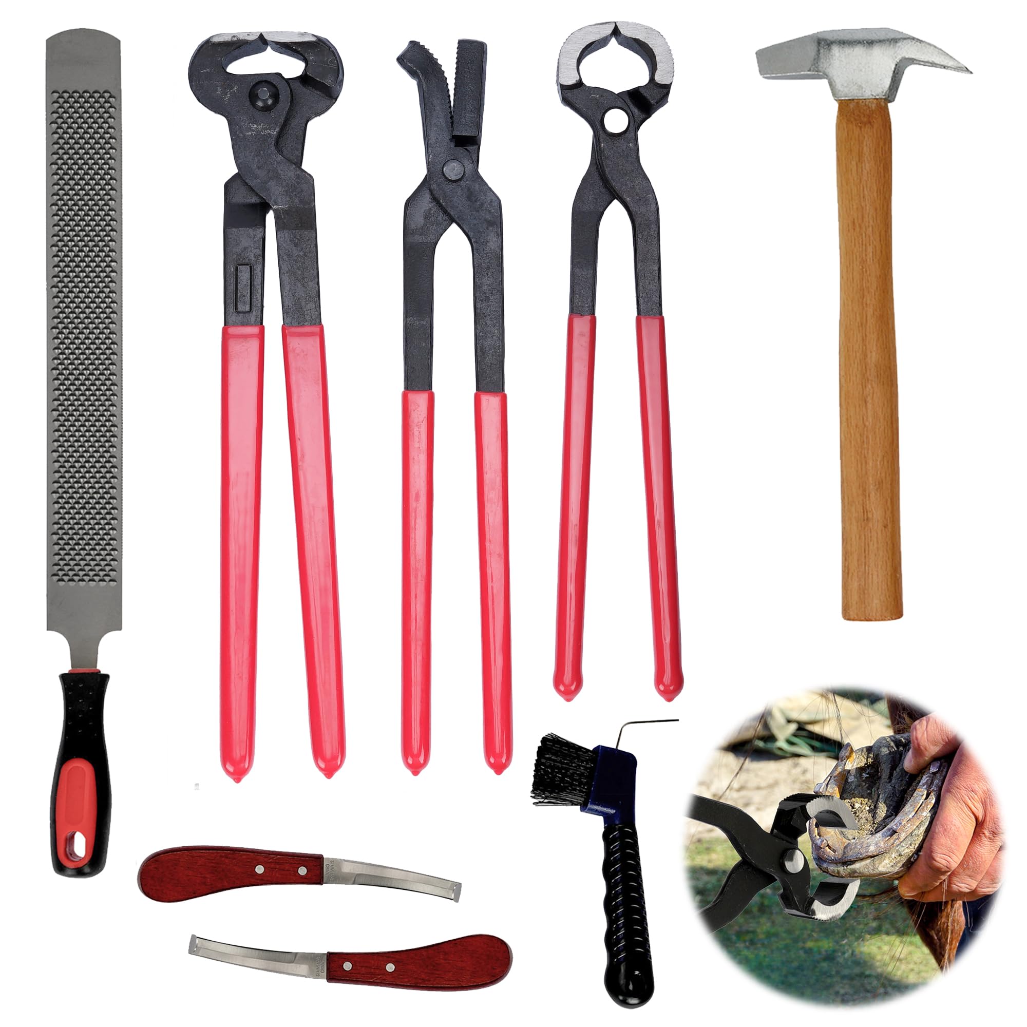 Gtouse pince à sabot maréchier – coupe précise et ergonomique