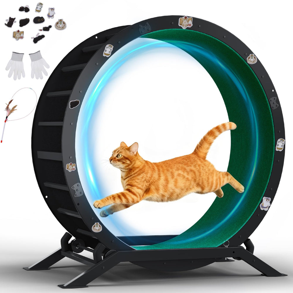 GTPLAYER roue d’exercice pour chats 40 pouces favorisant l’activité et le divertissement.