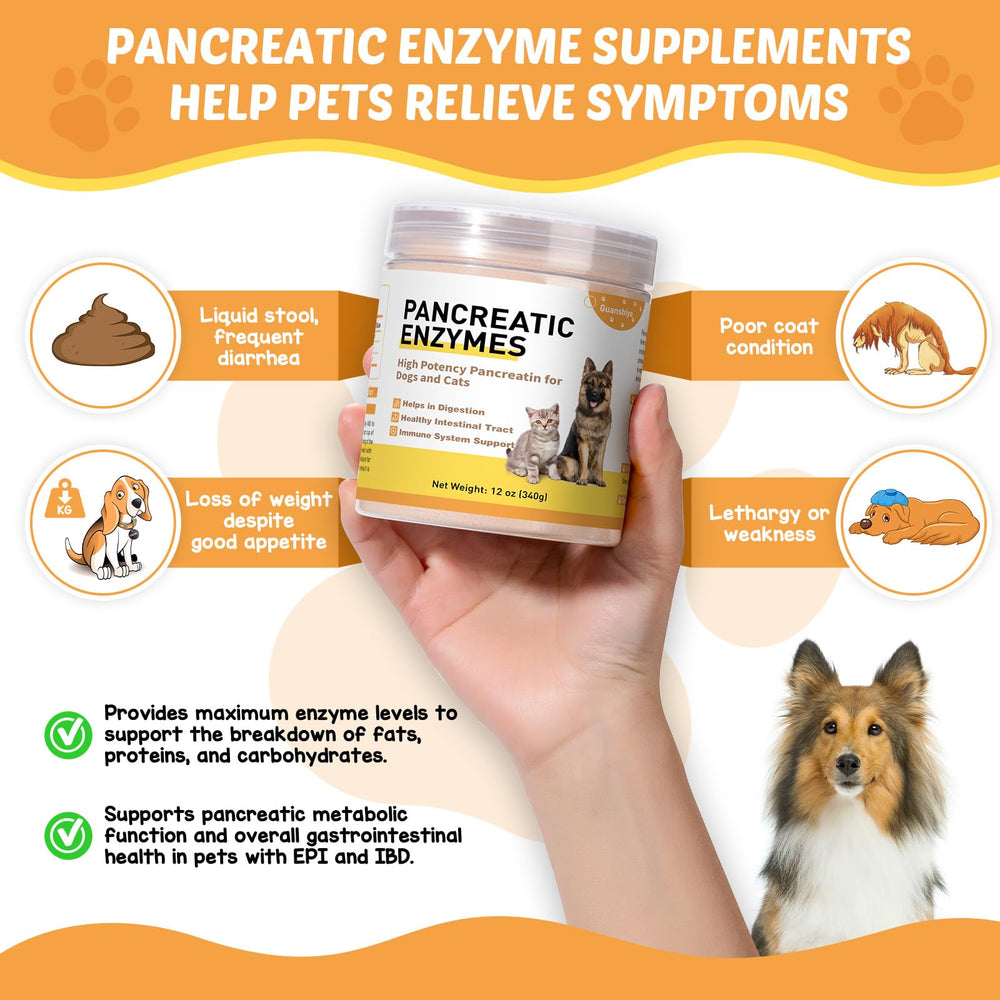 Guanshiya enzymes pancréatiques chien approuvé par vétérinaire pour digestion.