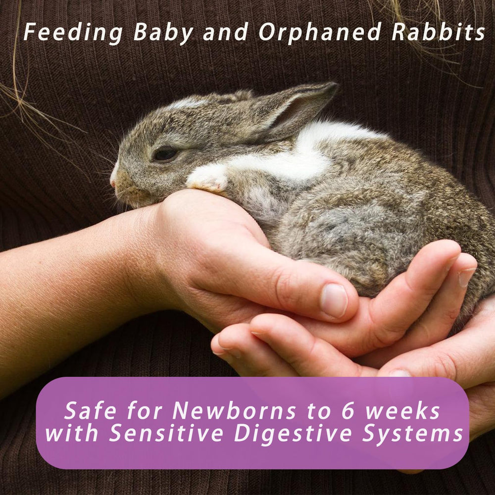 Guanshiya Lait Lapin Remplaçant soutenant digestion et croissance saine