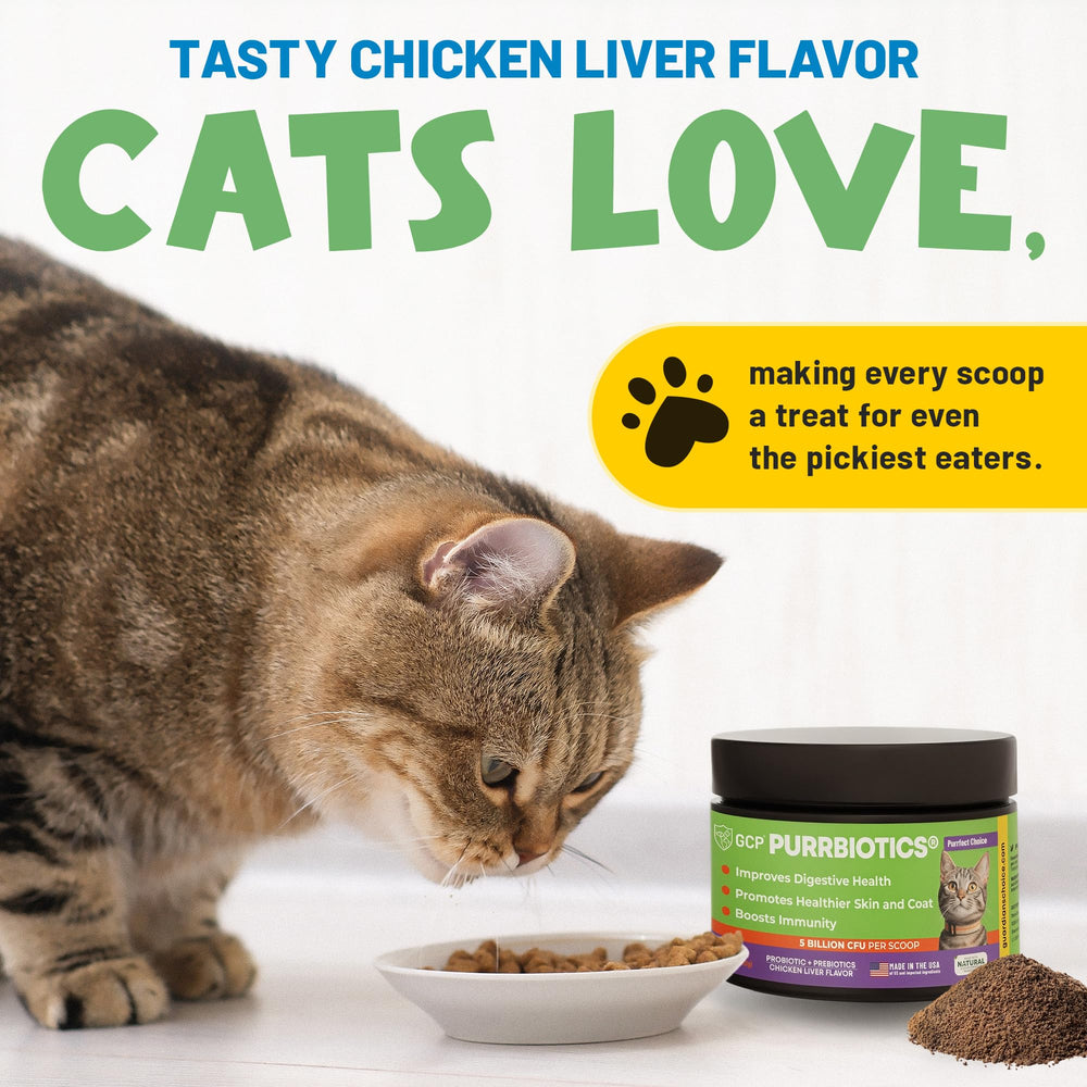 Guardian's Choice Purrbiotics – cuillère-dose incluse pour dosage précis.