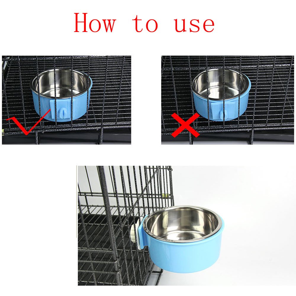 Guardians gamelle amovible chien et chat – nettoyage rapide et hygiène simplifiée.