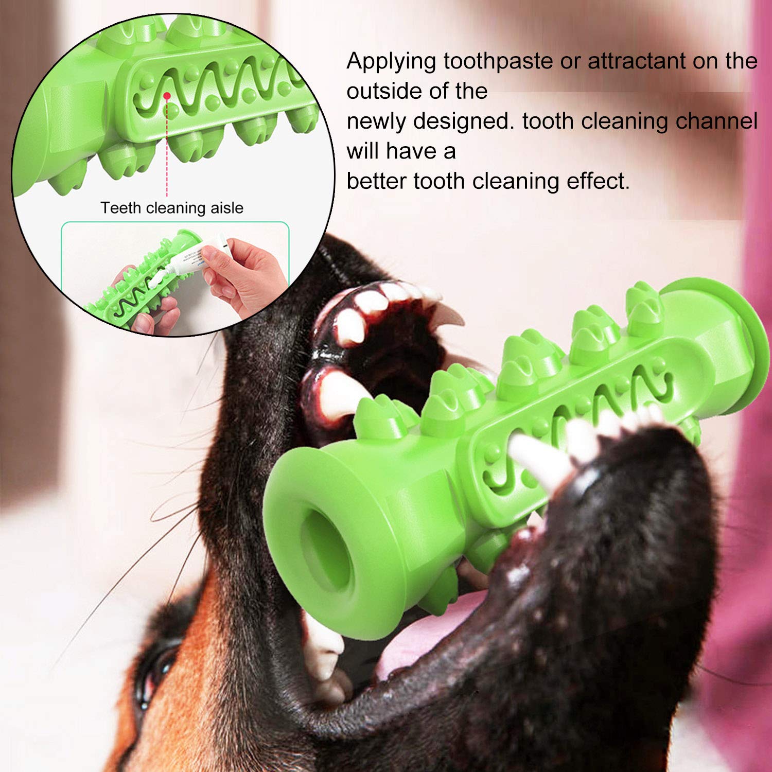 Guardians Jouet Dentifrice Chien permet brossage en jouant.