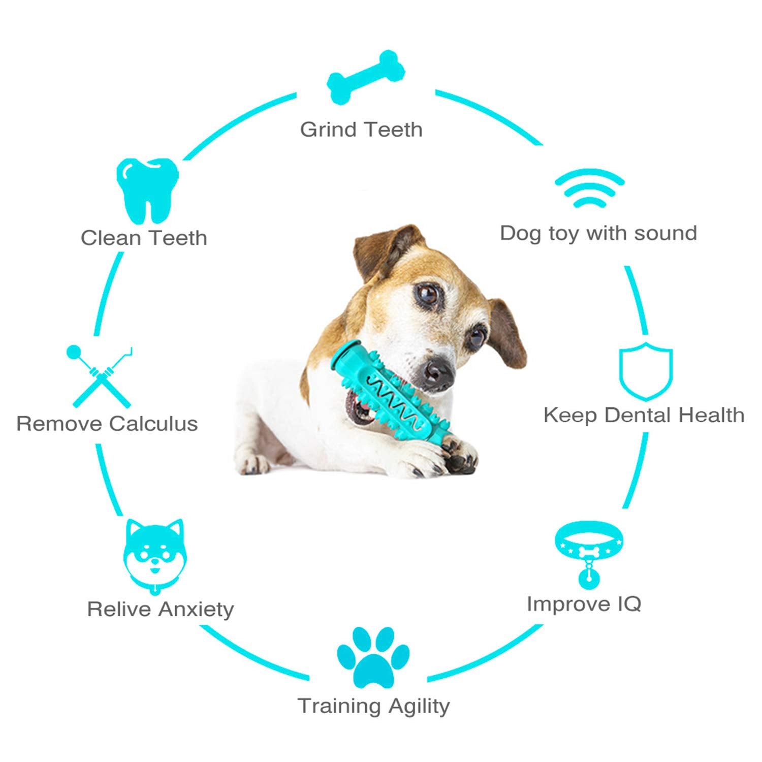 Guardians jouet interactif soulage l’anxiété et stimule l’intelligence canine.
