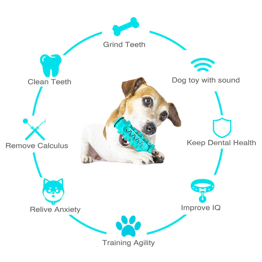 Guardians jouet interactif soulage l’anxiété et stimule l’intelligence canine.