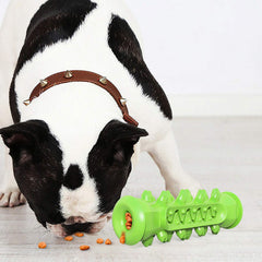 Guardians tige-brosse-dent-chien bleu, pratique pour nettoyer les dents pendant le jeu.