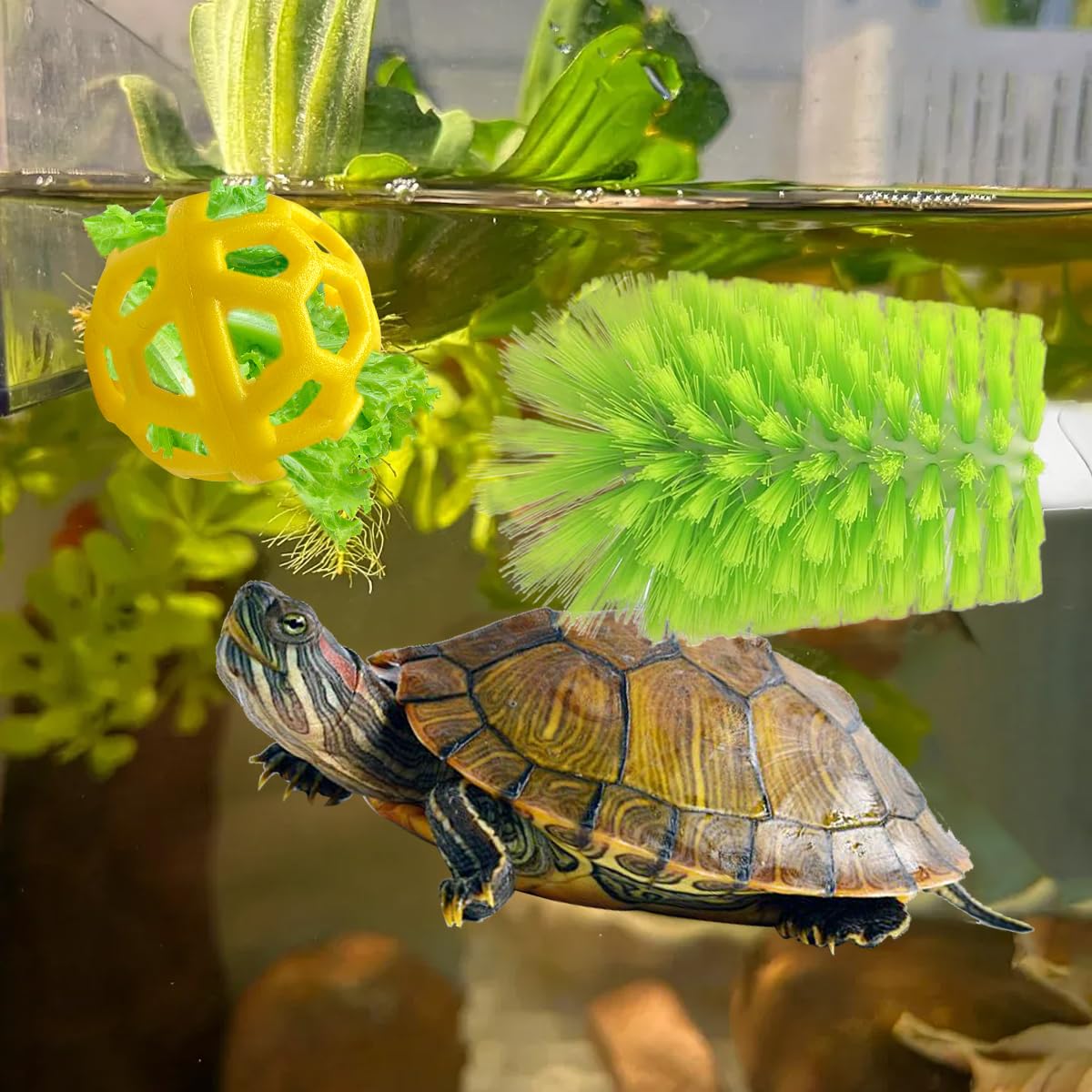 Accessoires tank tortue polyvalents pour habitats variés.