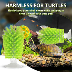 Kit démarrage tortue Gucvdnple, ensemble pratique pour démarrer l’habitat.