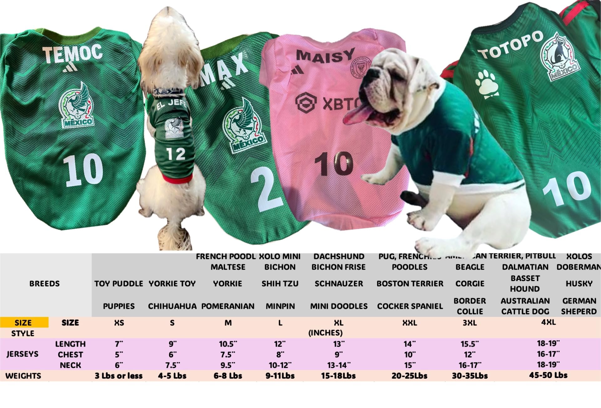 Gueyita Mexicana maillot chien guide tailles, aide à choisir la bonne taille.
