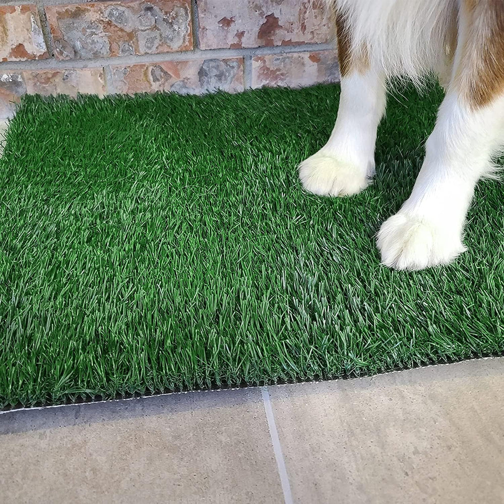 Guide d utilisation PICK FOR LIFE pour pot chien, démarrage en douceur
