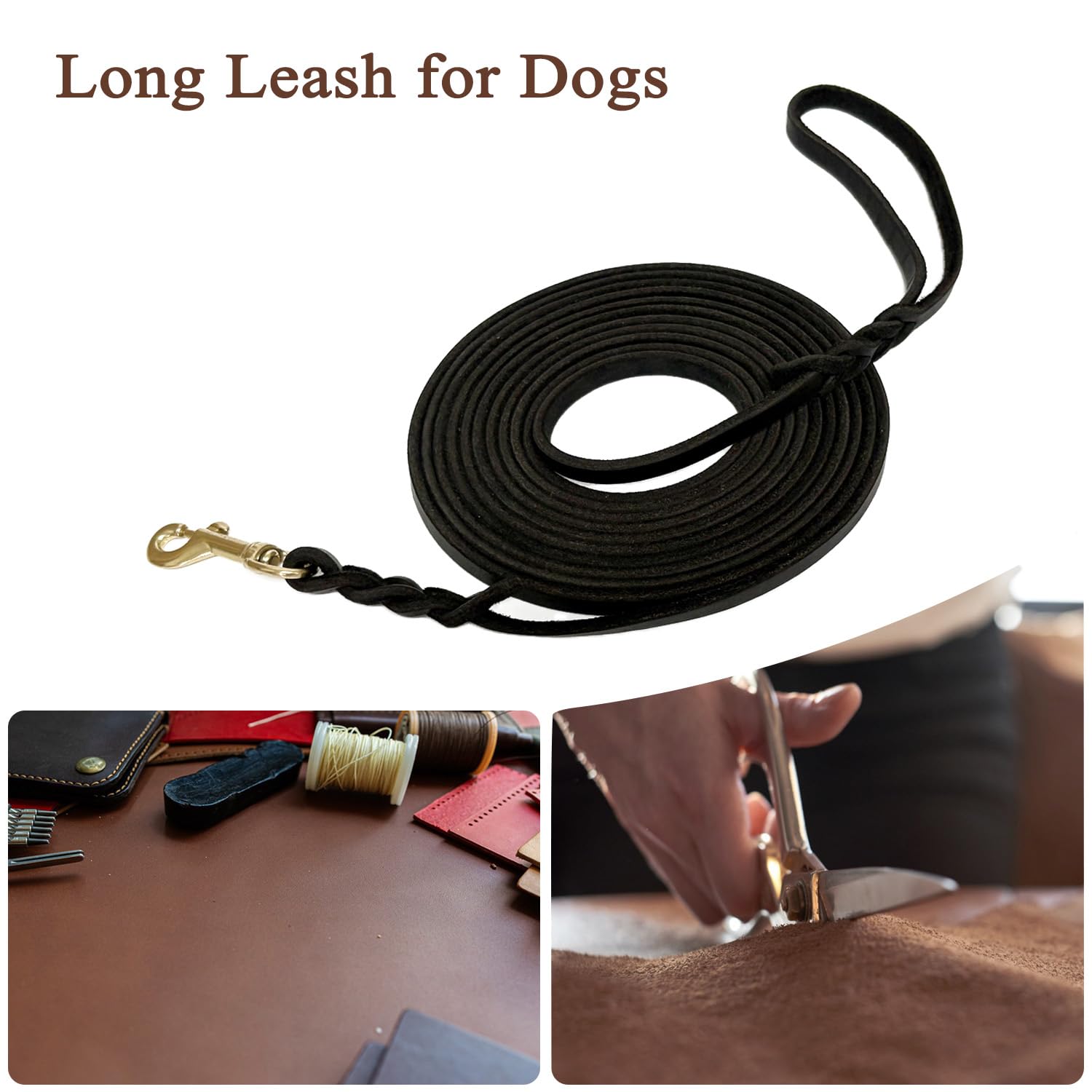 Longe Guiding Star de 30 pieds, longueur adaptée pour activités extérieures.