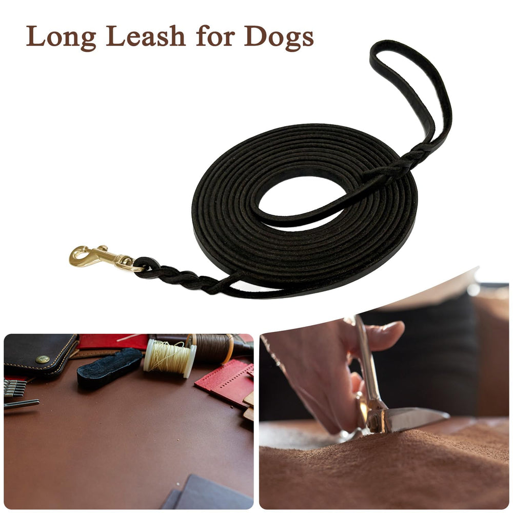 Longe Guiding Star de 30 pieds, longueur adaptée pour activités extérieures.