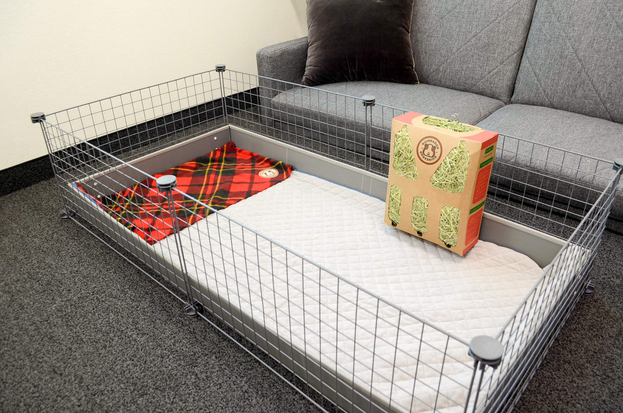 GuineaDad Original – compatibilité avec cages C&C 2x4 pour un aménagement simple.