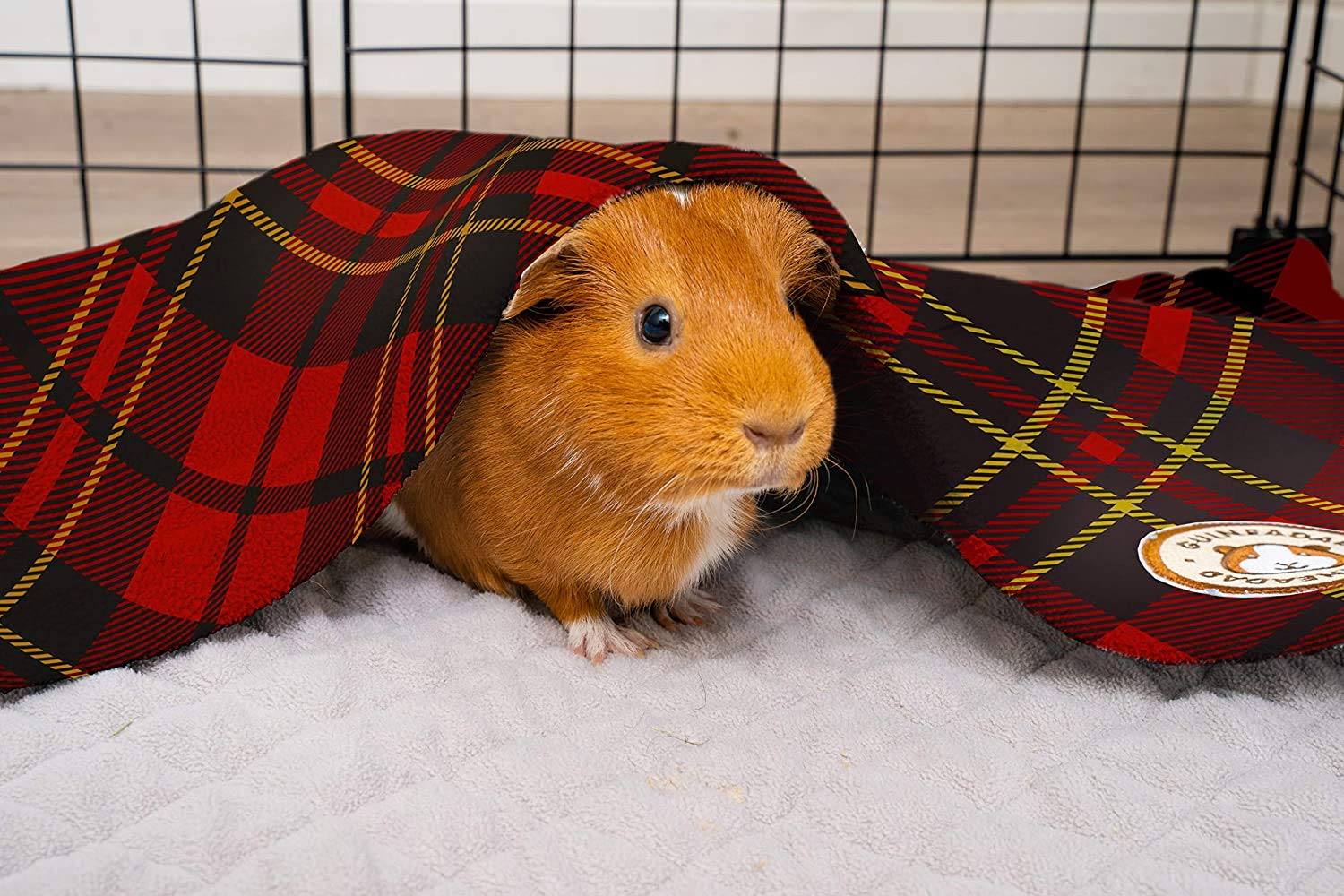 GuineaDad Original – utilisable en transport, voiture et temps au sol pour plus de polyvalence.