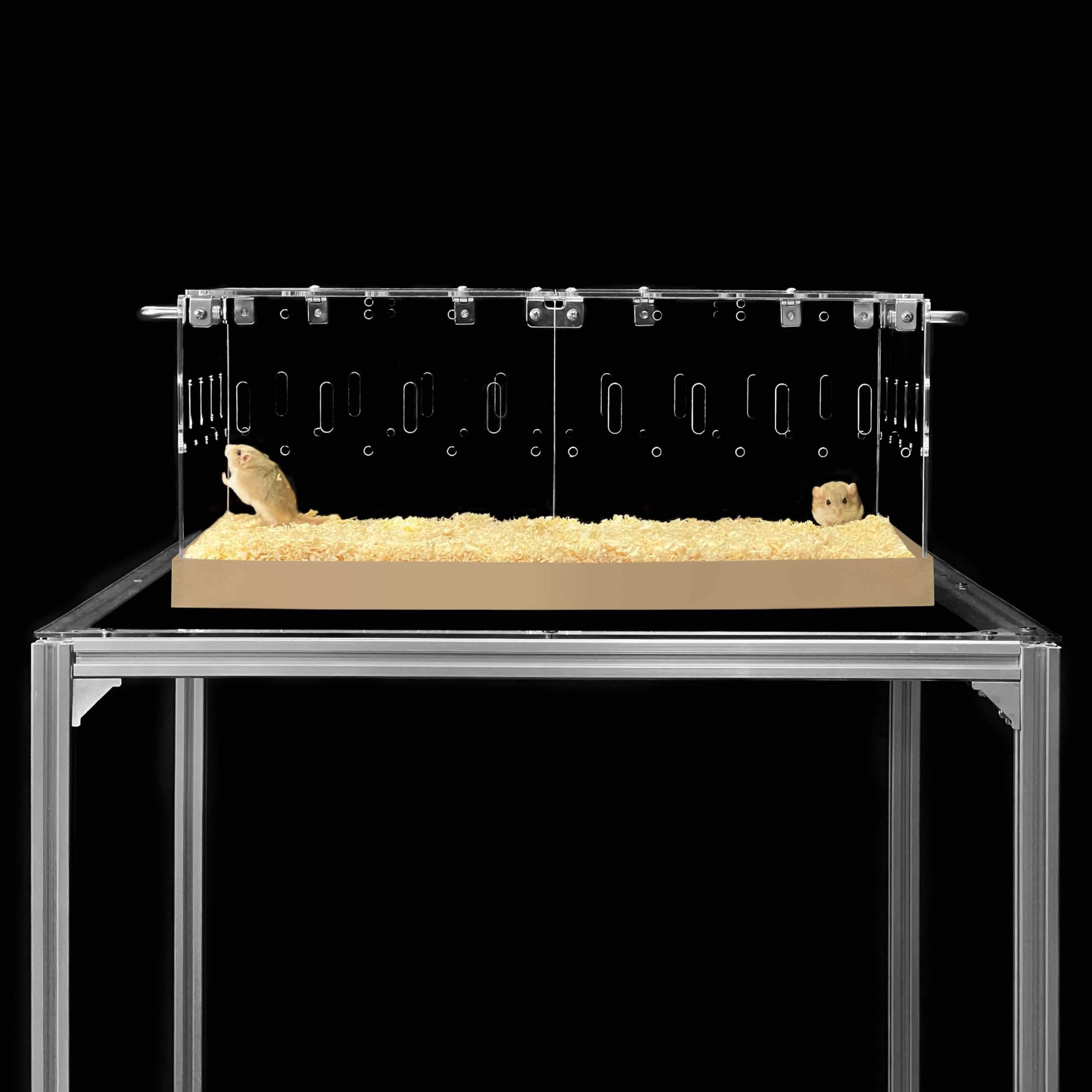 GuineaLoft Model-P3 cage acrylique vue panoramique pour observer les animaux facilement.
