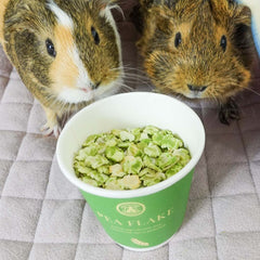 GuineaDad Flocons de Pois, idéal pour partager entre plusieurs petits animaux.