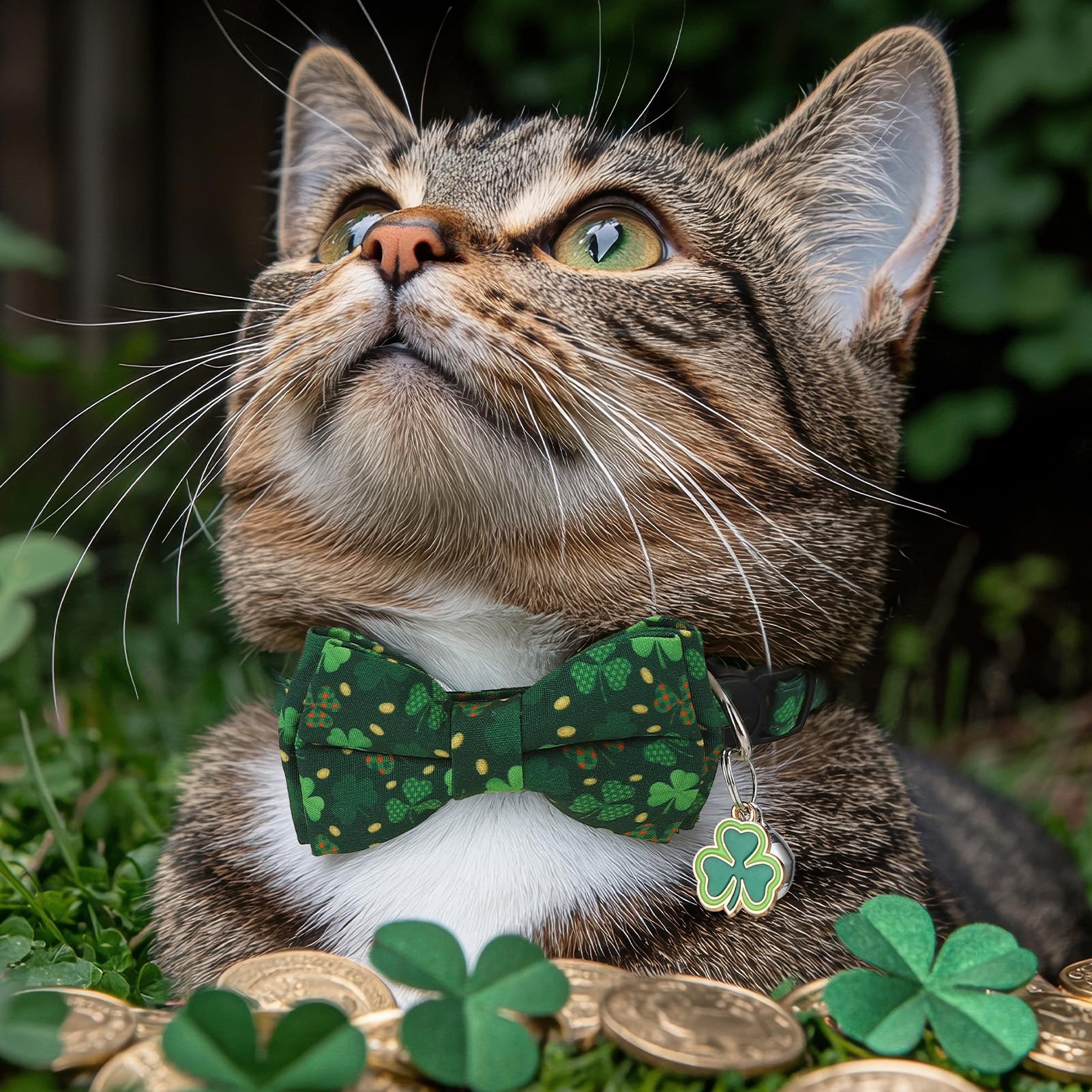 Guiqulai collier Saint-Patrick polyvalent, facile à changer entre noeud papillon et bandana.
