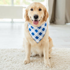 Guiqulai bandana bleu plaid grande taille, convient aux chiens à cou large