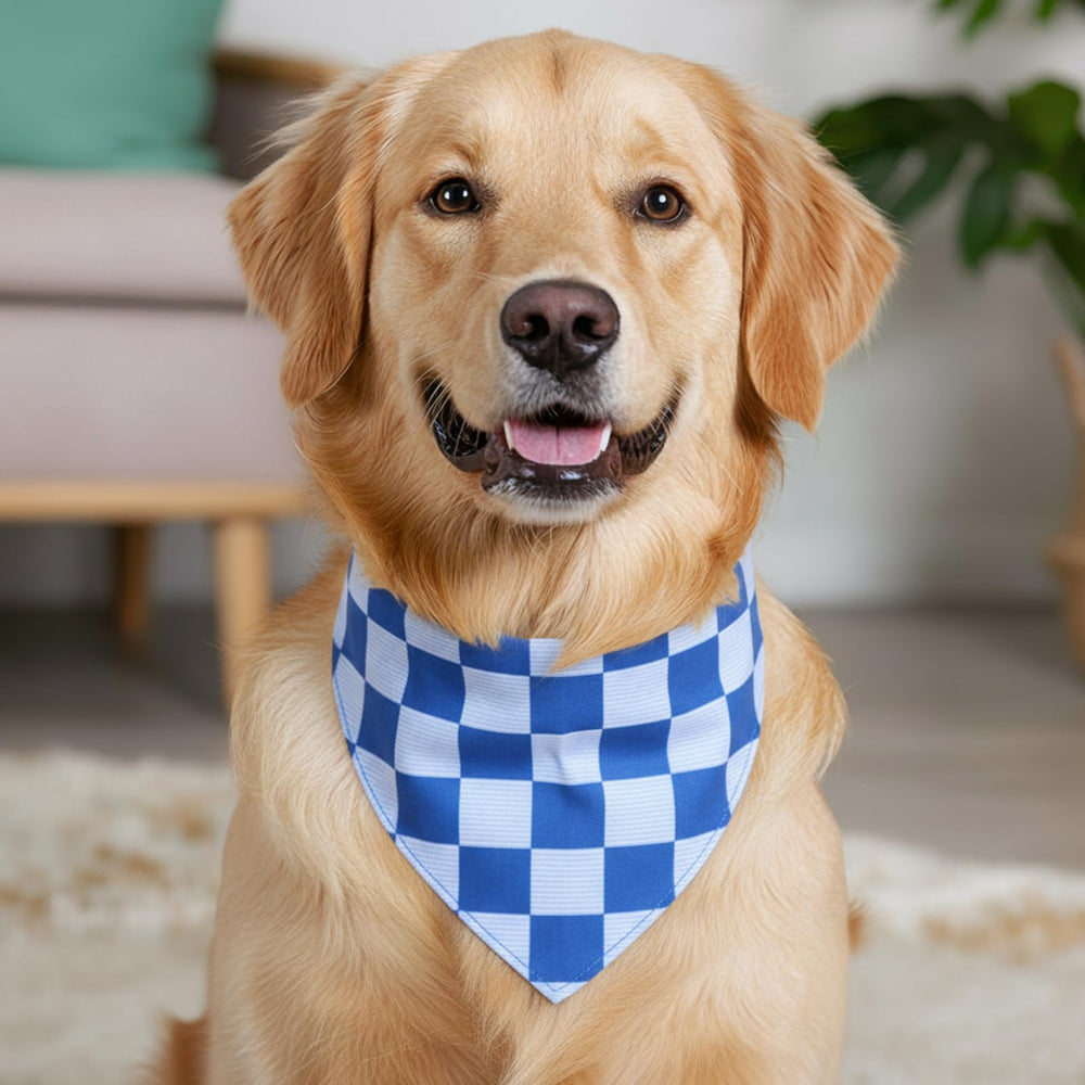 Accessoire Guiqulai bandana, motif carreaux bleu, cadeau idéal pour chiot