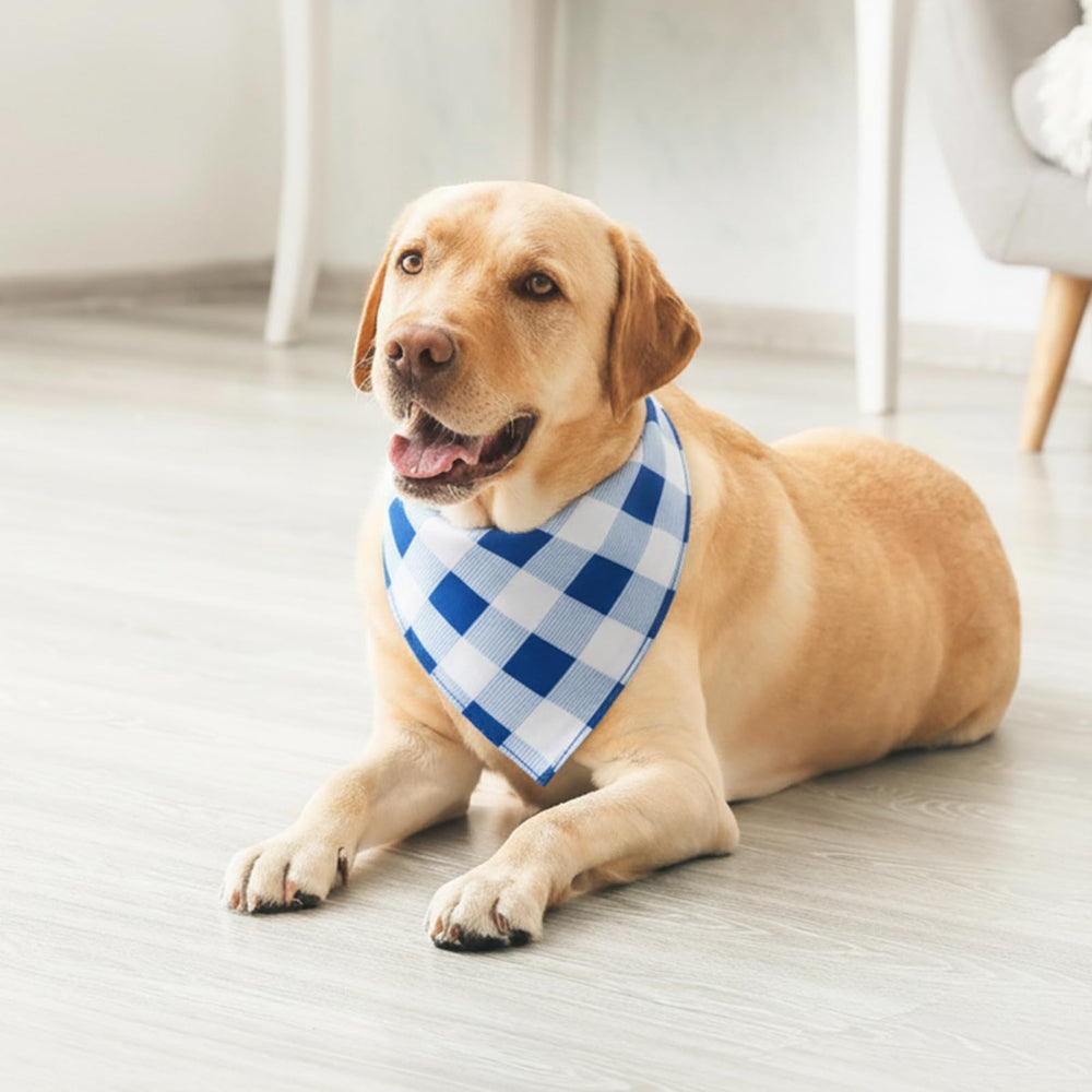 Bandana réversible Guiqulai, look chic pour séances photos