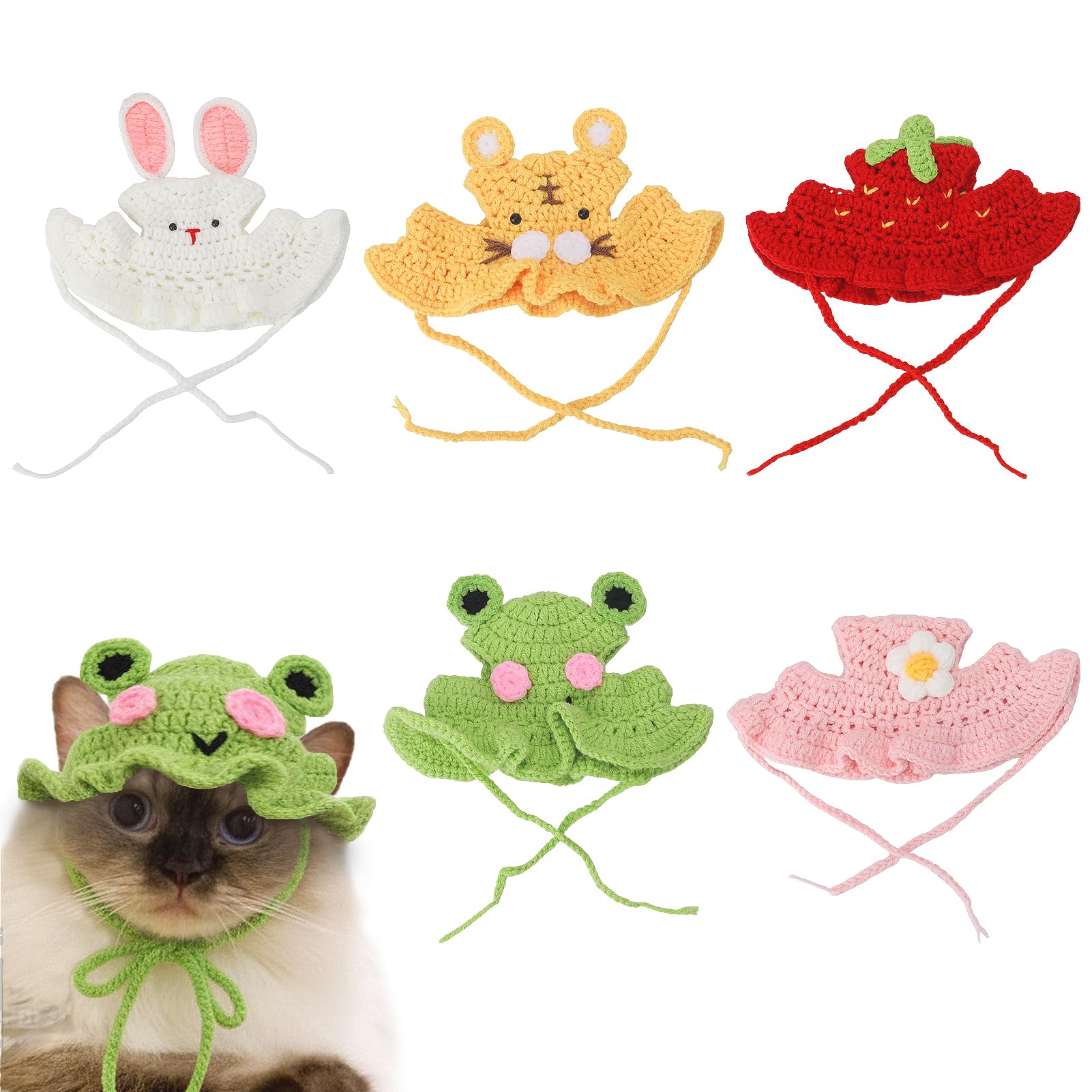 Chapeau Guiqulai grenouille pour chat, idéal pour sessions photo amusantes.