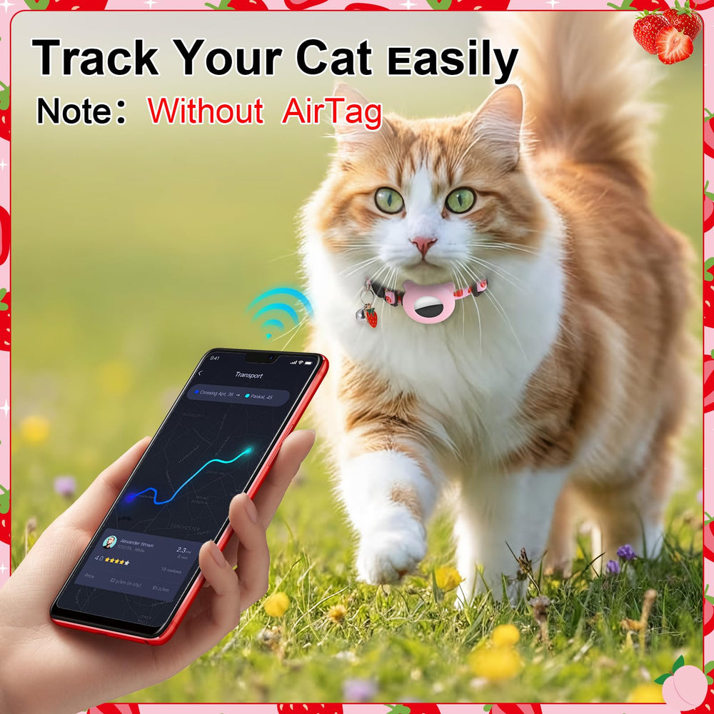 Guiqulai collier chat pour séances photos et sorties quotidiennes