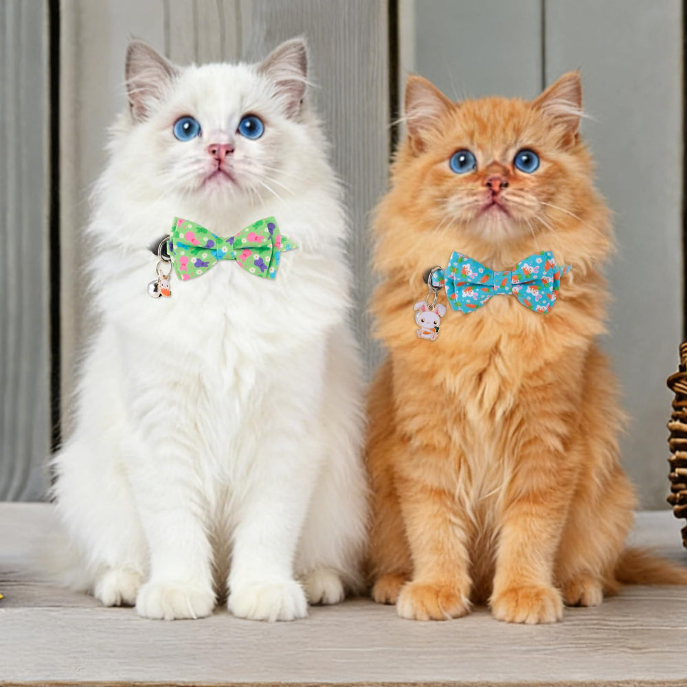 Guiqulai collier chat usage quotidien et fêtes multicolore