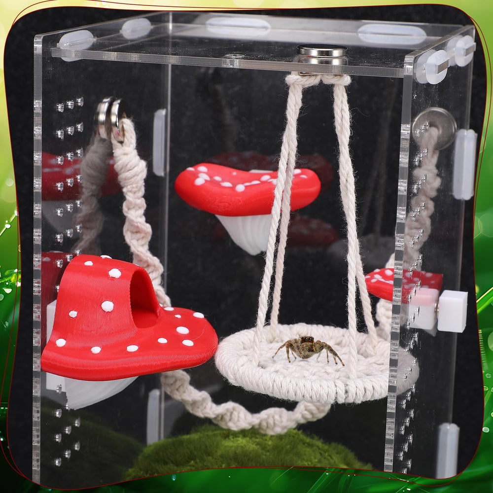 Guiqulai deco terrarium araignee moyen, esthetique et fonction