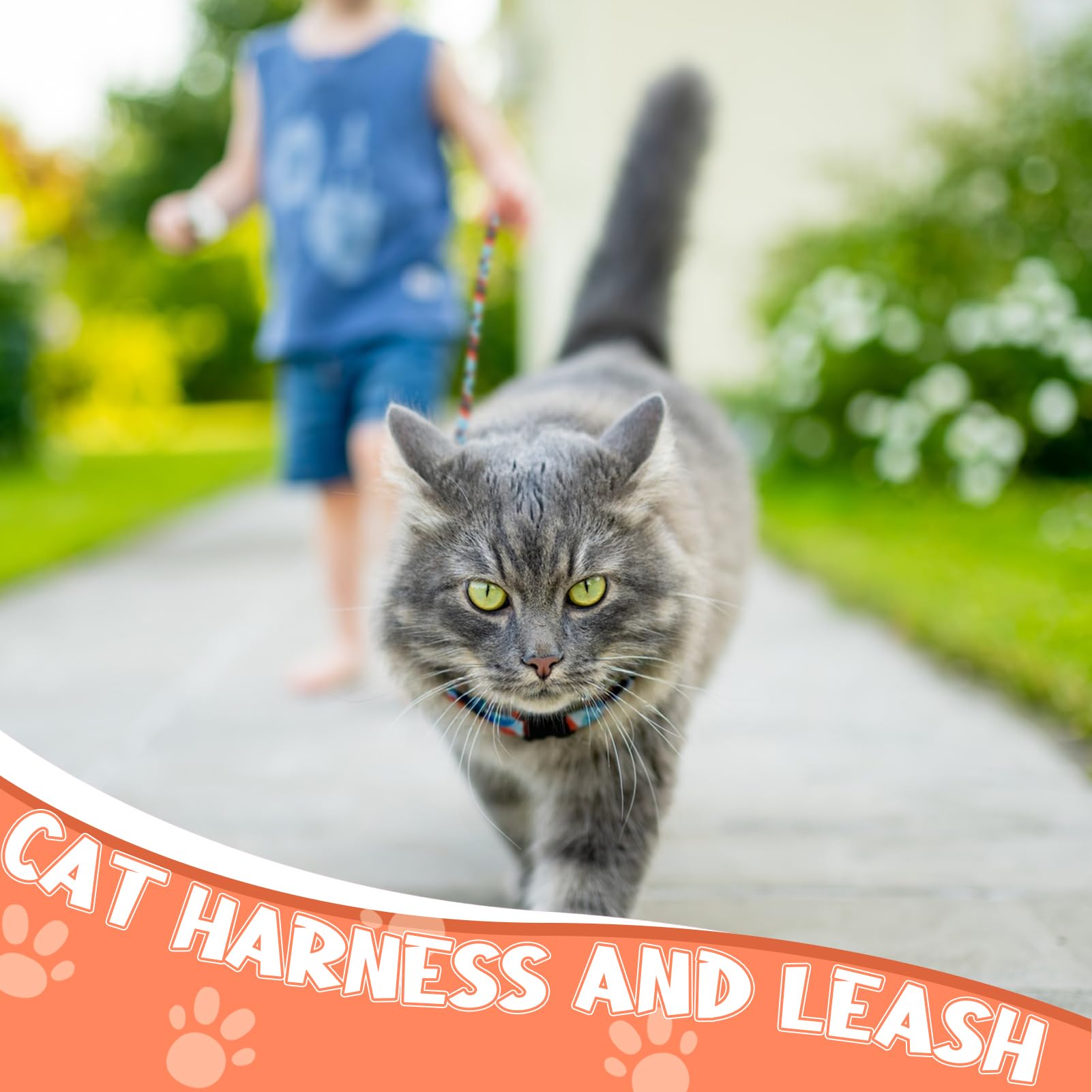 Ensemble harnais et laisse Guiqulai pour chats, kit pratique