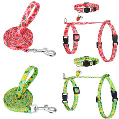 Guiqulai harnais-chat-poignee-ensemble pour promenades sûres et confortables.