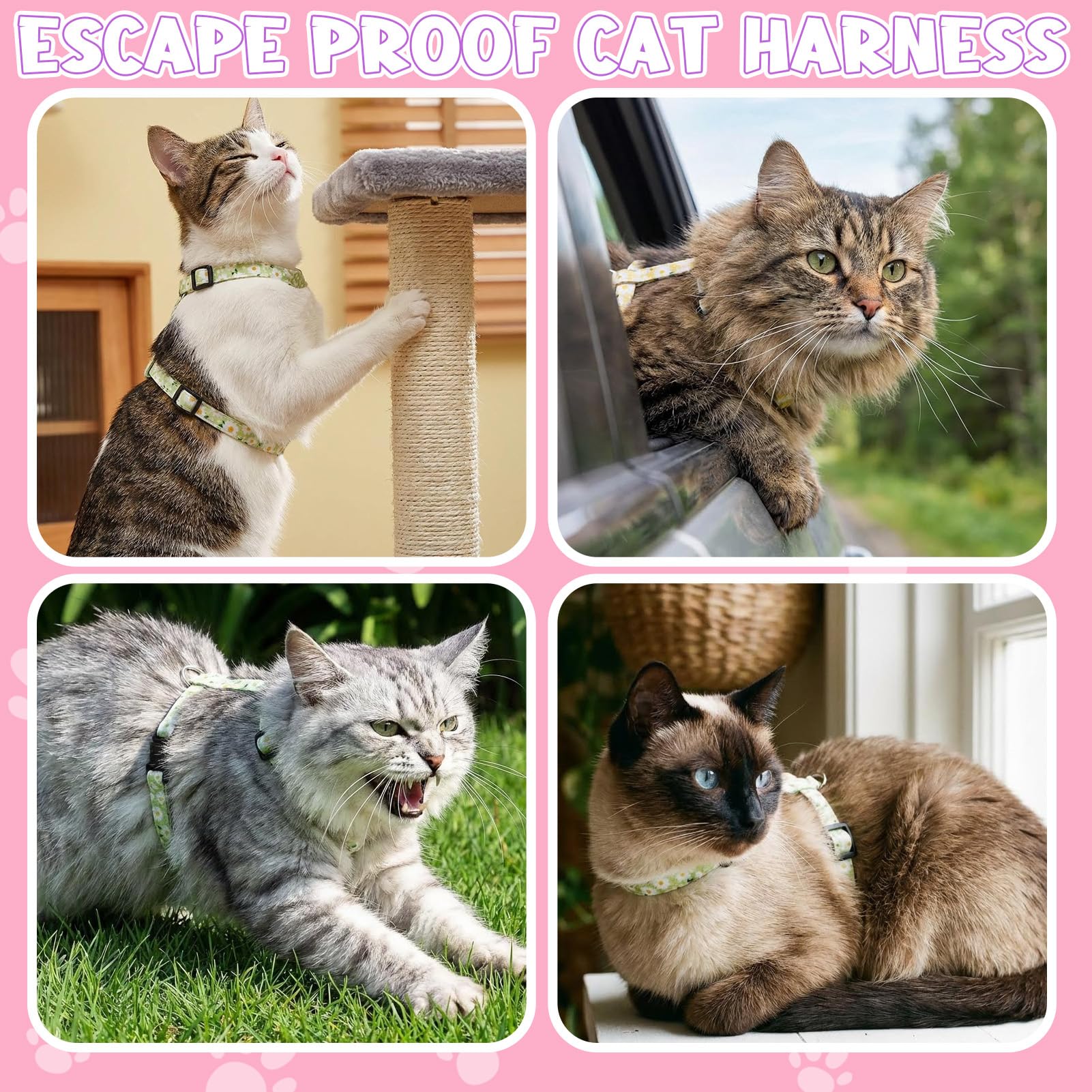 Guiqulai kit promenade chat, ensemble 2 pack pour voyages et loisirs.