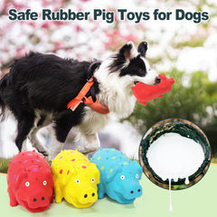 Guiwawa cochon-siffleur jaune, compagnon anti-ennui pour chiens de taille moyenne.