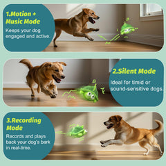 GUKCO tortue-jouet chien avec musique intégrée pour motivation du jeu