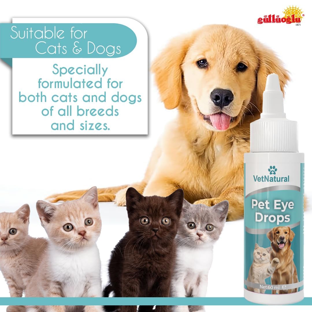 Gulluoglu sante-yeux-animaux — confort visuel quotidien pour chiens et chats.