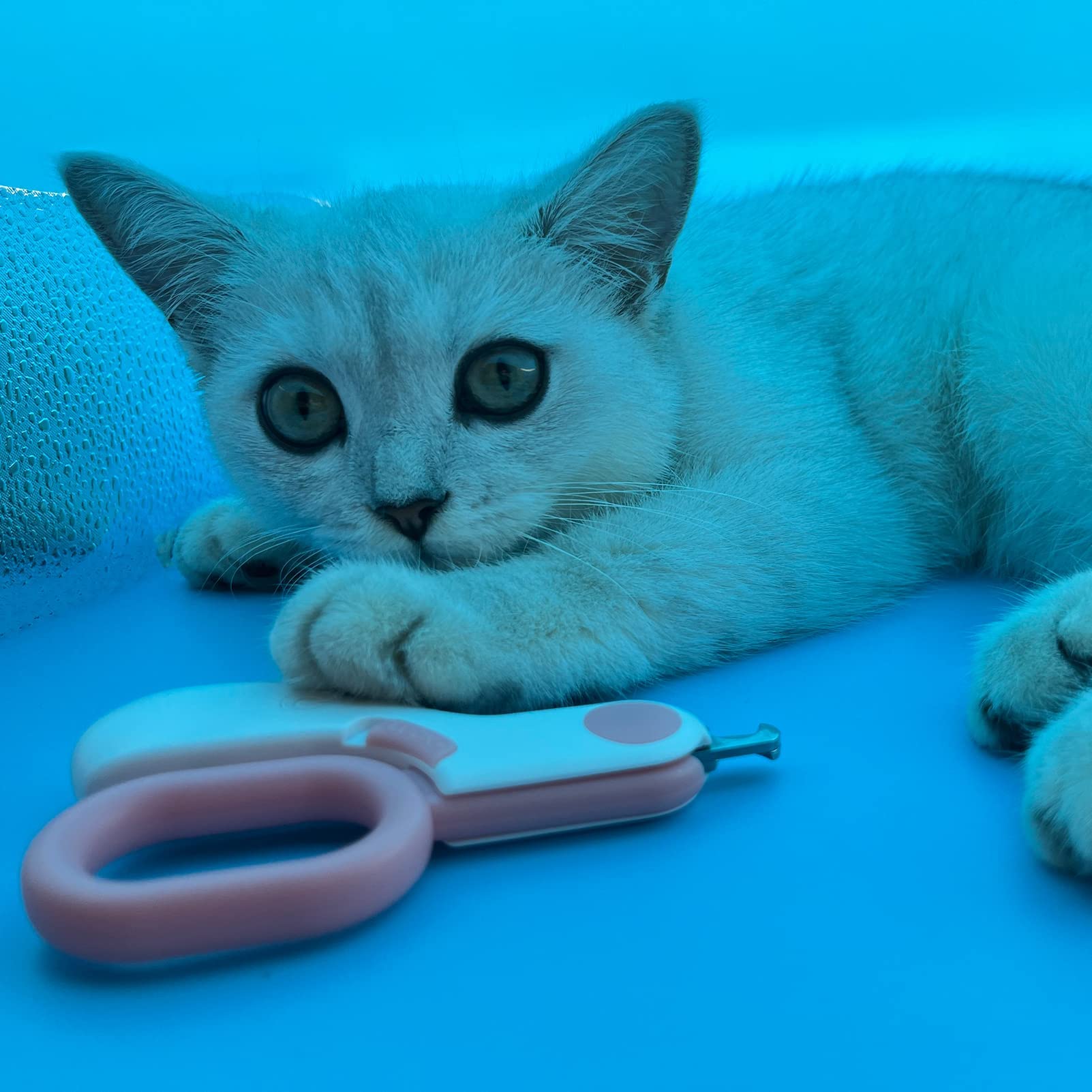 GuLuPets coupe-ongles compact et facile à nettoyer après usage.