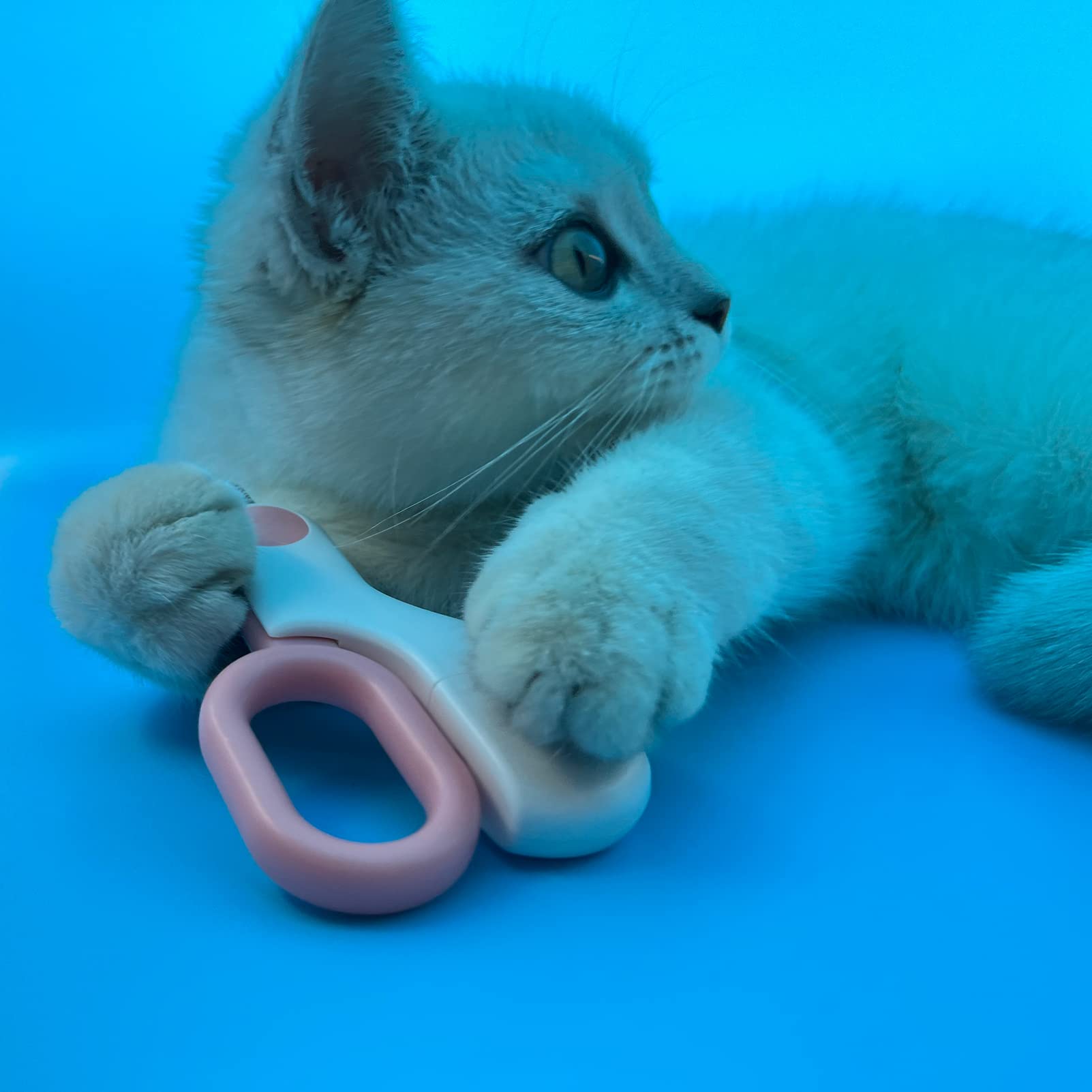 GuLuPets lumière LED intégrée, repère clair des ongles pour une coupe sûre.