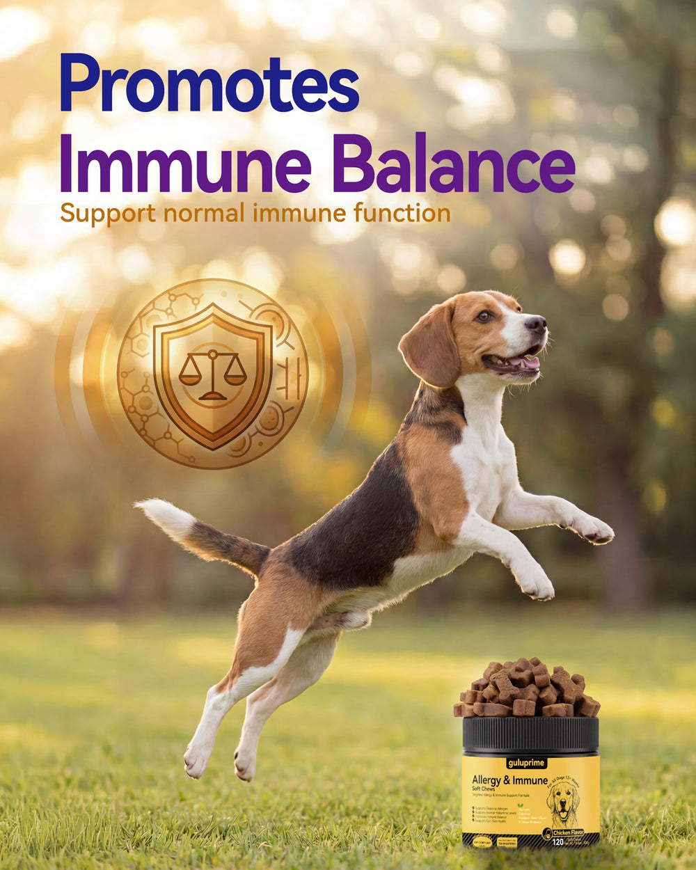 Guluprime digestif-equilibre: soutien digestion des chiens sensibles.