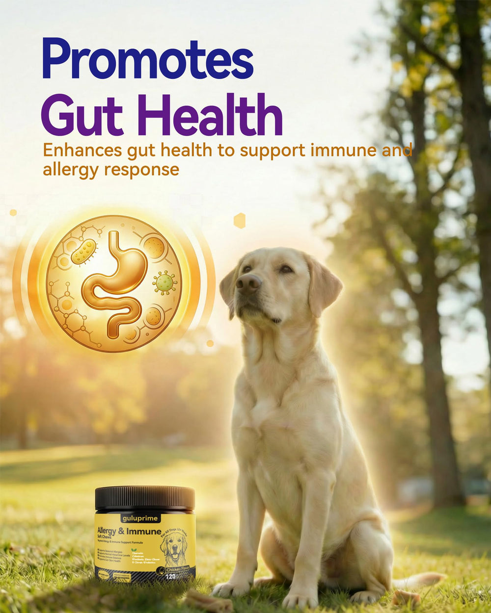 Guluprime immunite-support: nutrition clé pour l'immunité saisonnière.