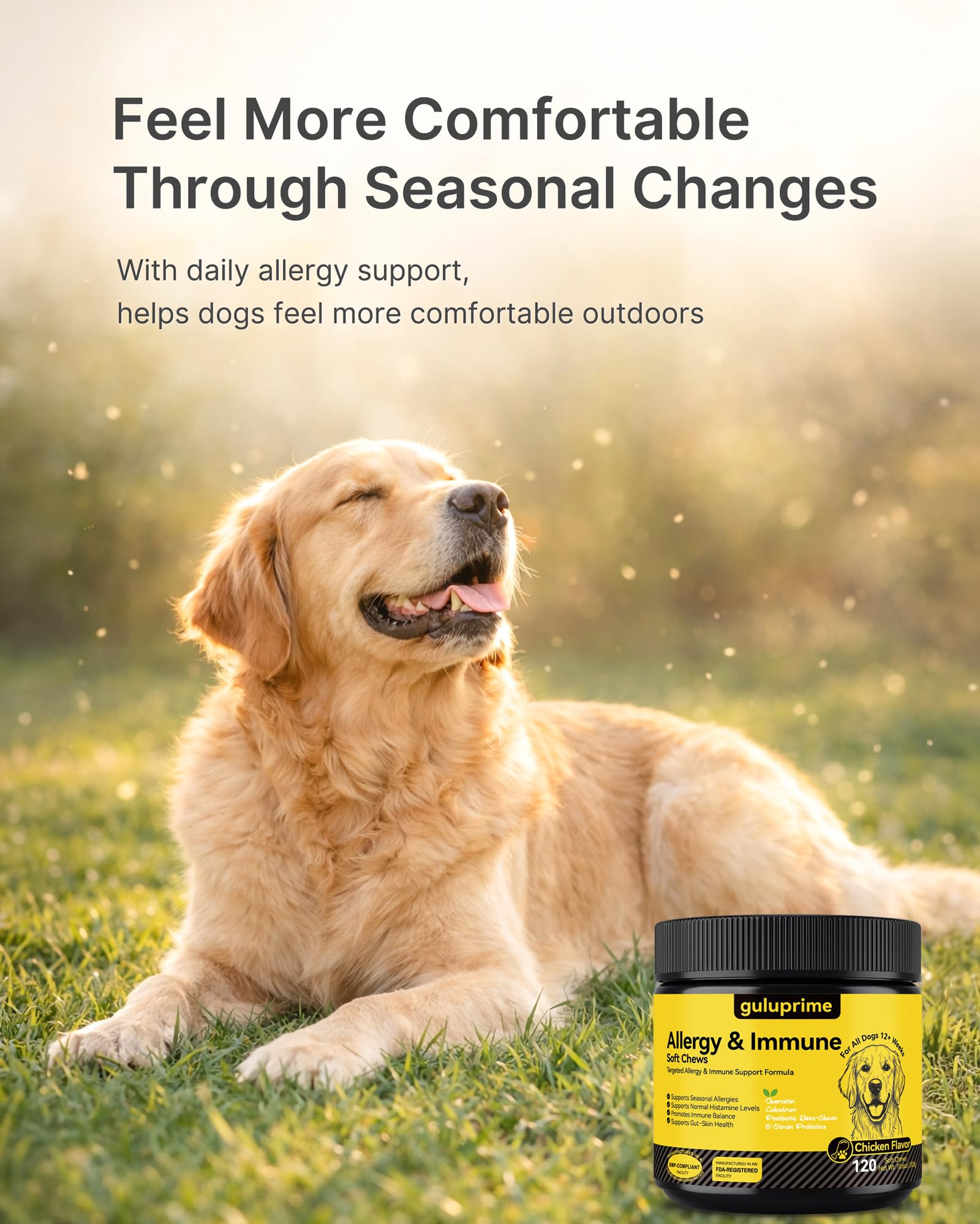 Guluprime pour chien, digestion-soutien gommes: base immunitaire.