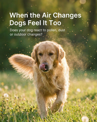 Guluprime pour chien, immunité-équilibre gommes: confort peau et poil lors des périodes sensibles.