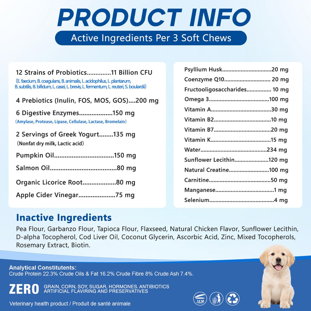 GuruAmi Probiotiques chien — routine simple pour peau et pelage sains