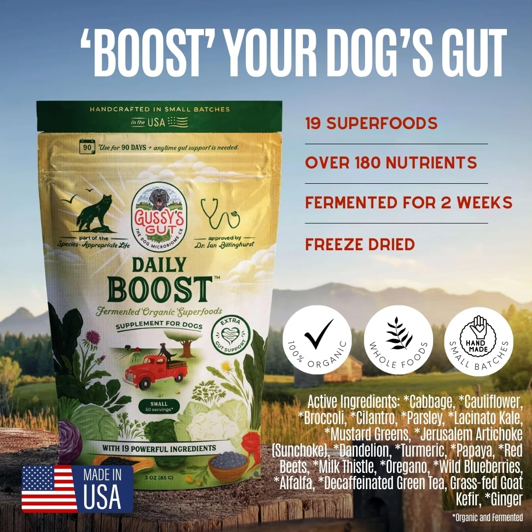 Gussy's Gut fermentation bio visible, soutien possible au microbiote canin