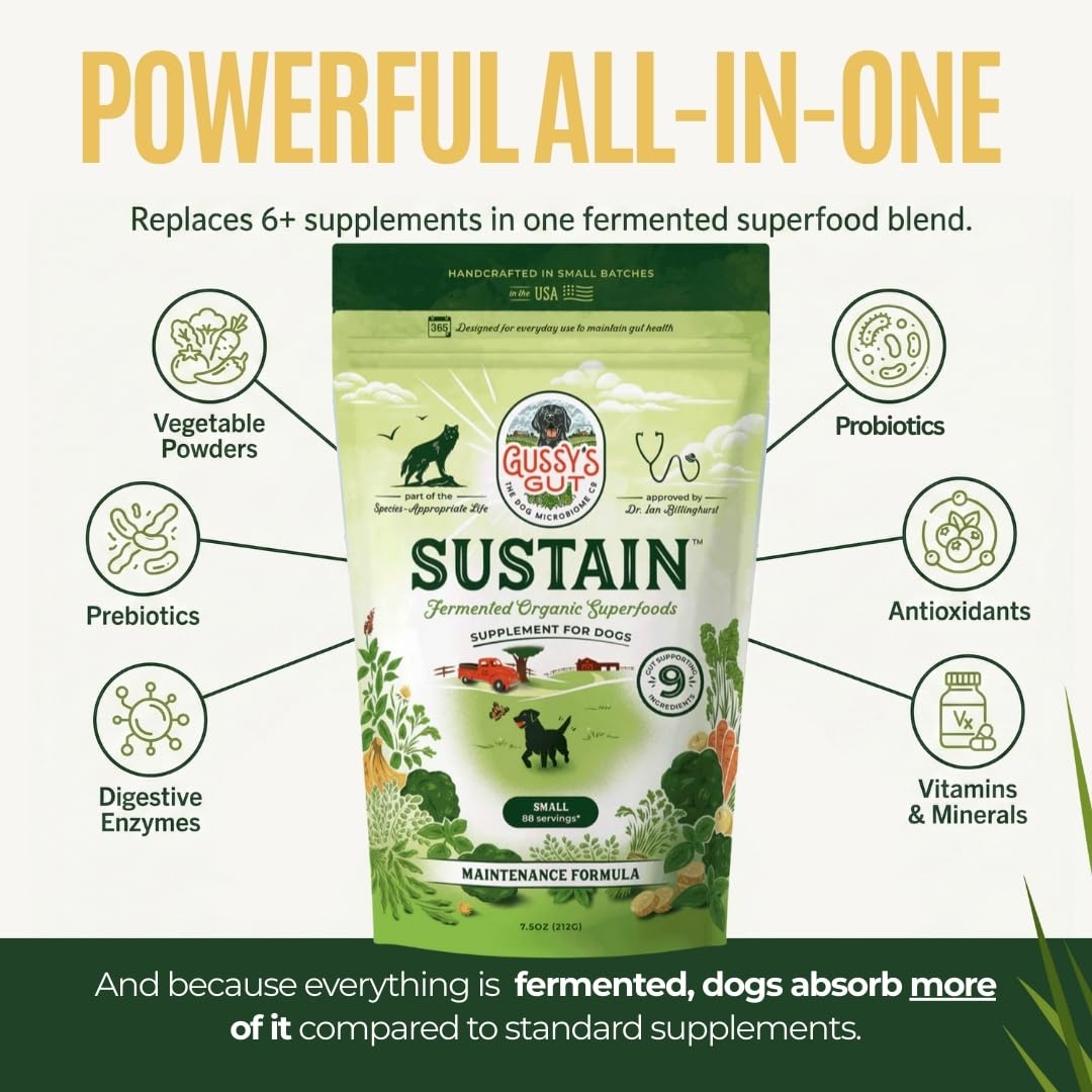 Gussy's Gut Sustain, bocal de 213 g fabriqué aux États-Unis.