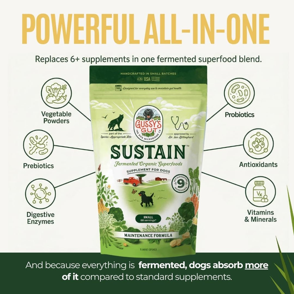 Gussy's Gut Sustain, bocal de 213 g fabriqué aux États-Unis.